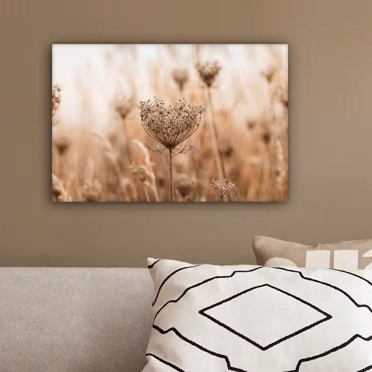 Schermbloem - Droogbloem - Winter - Beige - Minimalistisch canvas 2cm klein -sfeer3