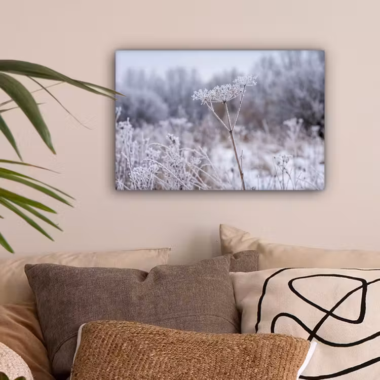 Schermbloem - Rijp - Kristallen - Winter - Delicaat canvas 2cm klein -sfeer1