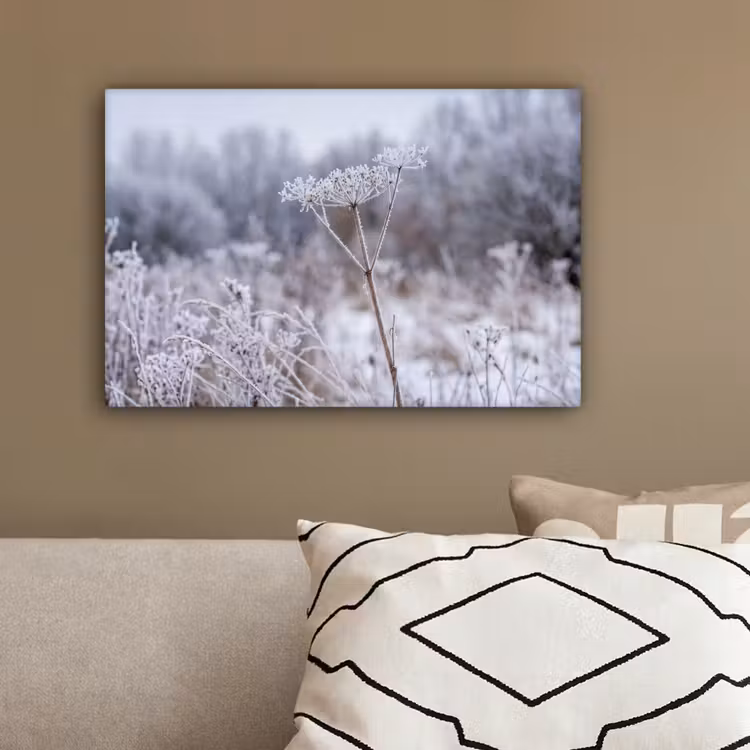 Schermbloem - Rijp - Kristallen - Winter - Delicaat canvas 2cm klein -sfeer3