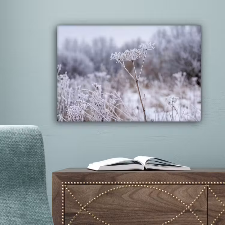 Schermbloem - Rijp - Kristallen - Winter - Delicaat canvas 2cm klein -sfeer4