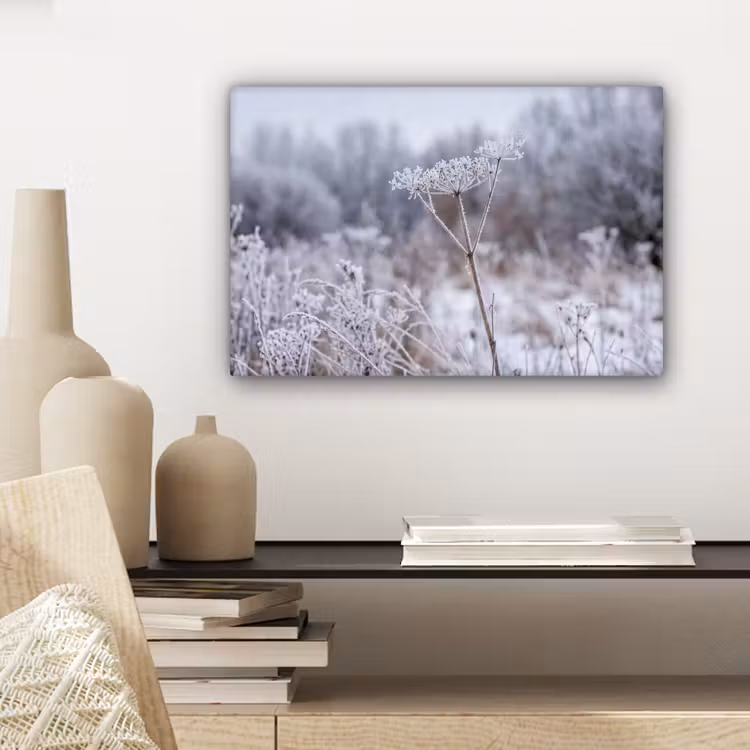 Schermbloem - Rijp - Kristallen - Winter - Delicaat canvas 2cm klein -sfeer6