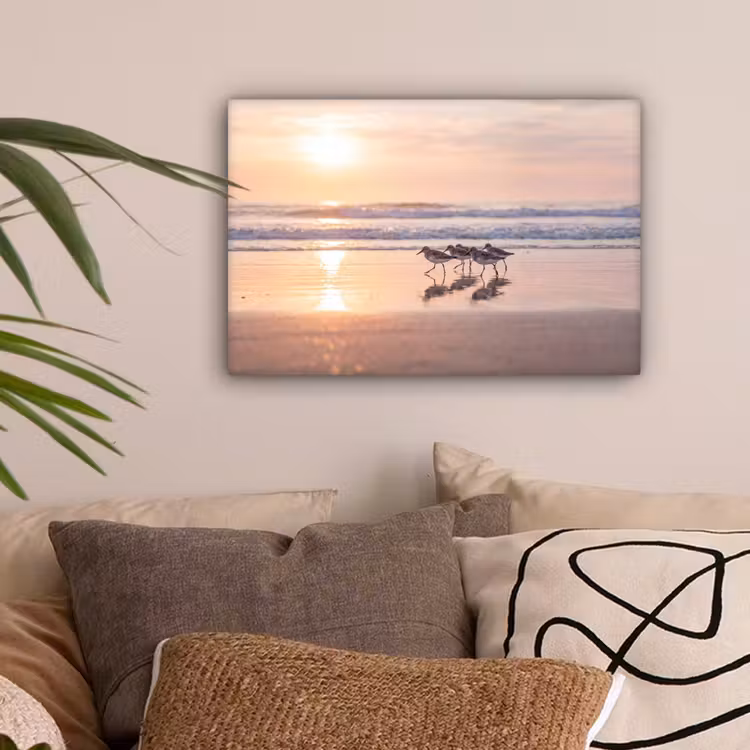 Zee - Vogels - Strand canvas 2cm klein -sfeer1