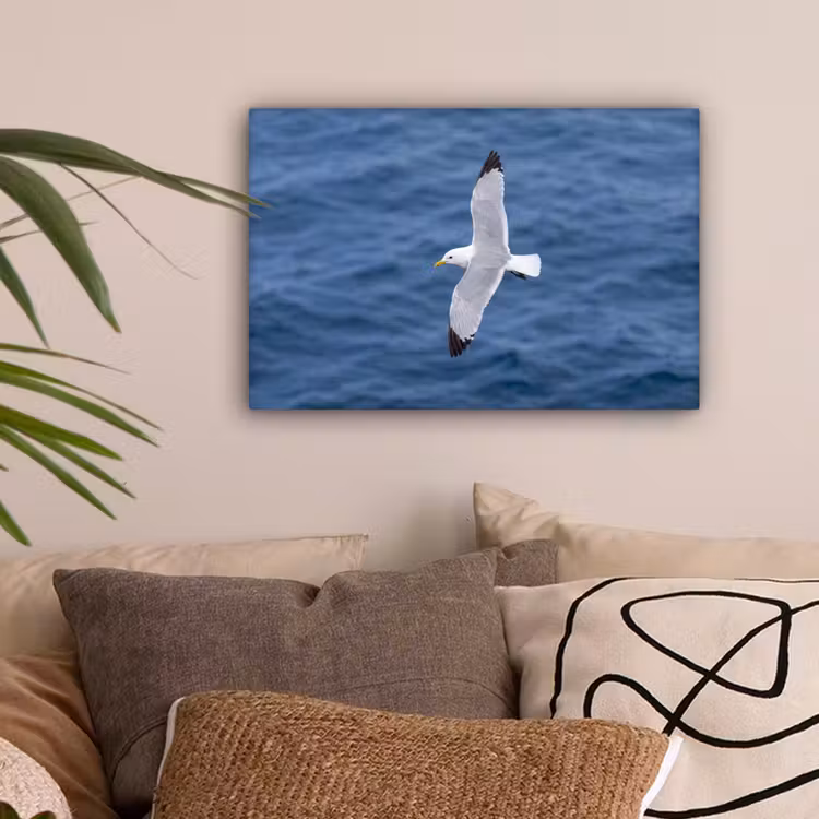 Zeemeeuw - Oceaan - Blauw canvas 2cm klein -sfeer1