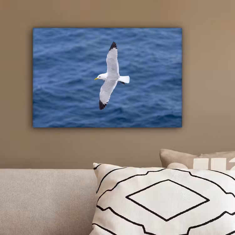 Zeemeeuw - Oceaan - Blauw canvas 2cm klein -sfeer3