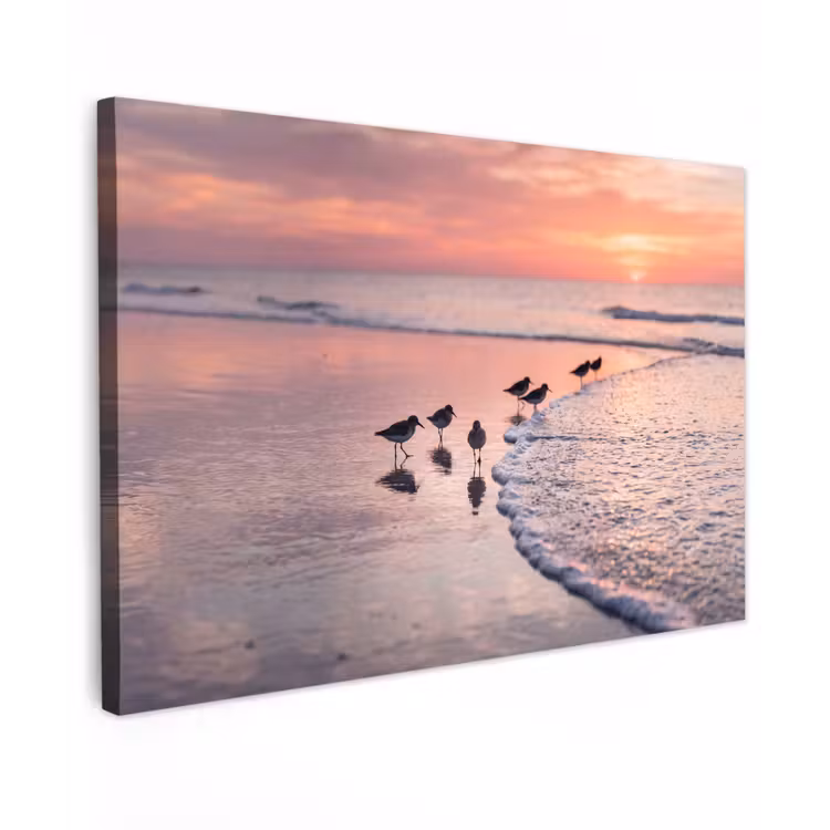 Meeuwen - Strand - Zee - Roze canvas 2cm klein -z3d
