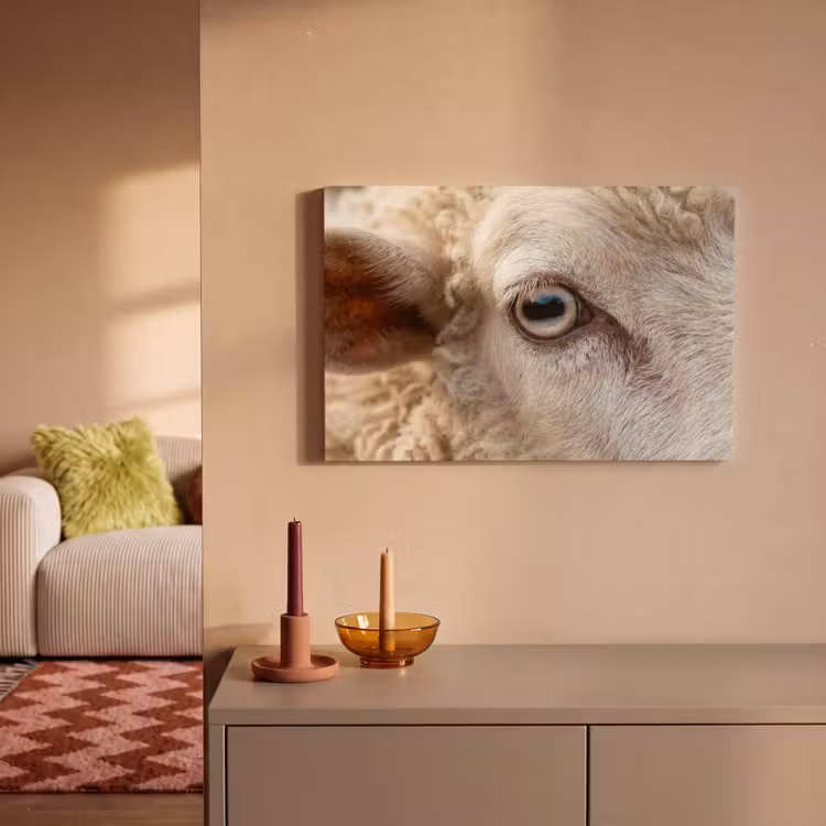 Schaap - Oog - Wit canvas 2cm klein -sfeer1