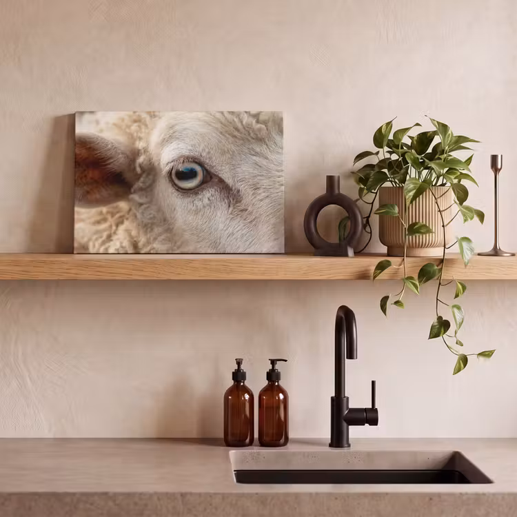 Schaap - Oog - Wit canvas 2cm klein -sfeer3