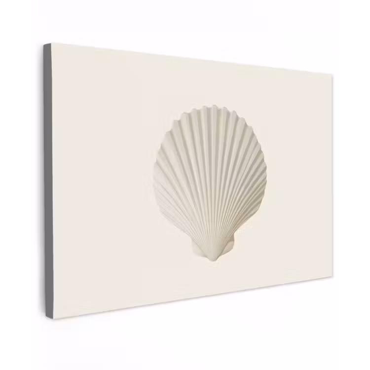 Schelp - Minimalistisch - Wit canvas 2cm klein -z3d