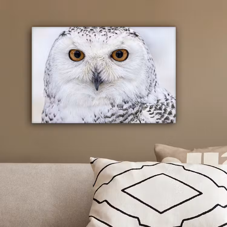 Sneeuwuil - Oog - Wildlife - Wit canvas 2cm klein -sfeer3