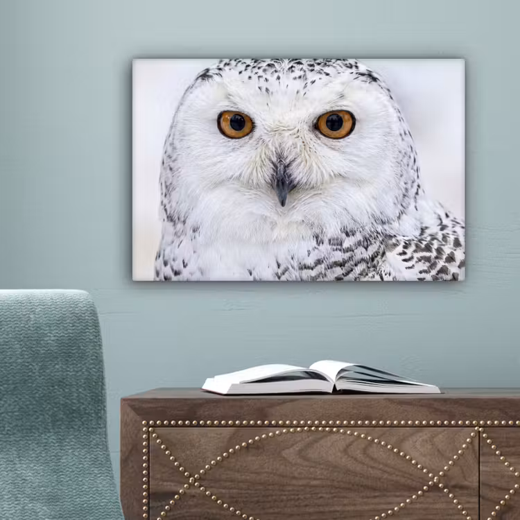 Sneeuwuil - Oog - Wildlife - Wit canvas 2cm klein -sfeer4