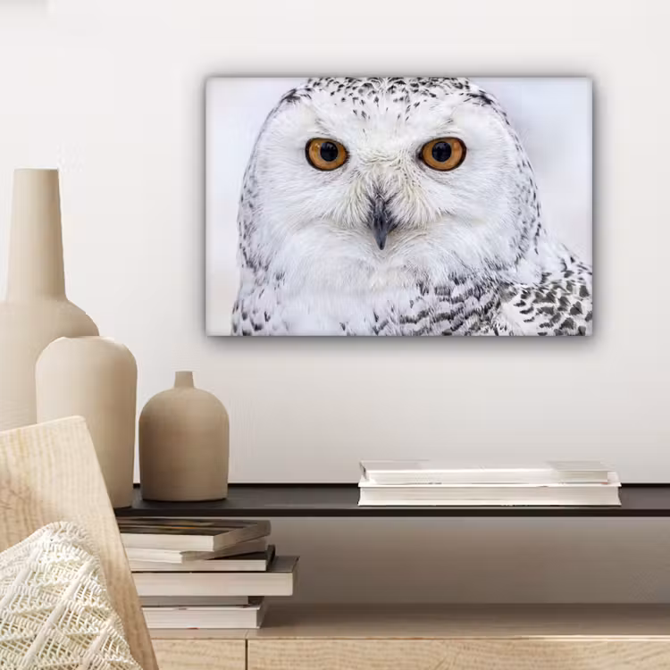 Sneeuwuil - Oog - Wildlife - Wit canvas 2cm klein -sfeer6
