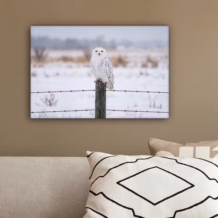 Sneeuwuil - Hek - Sneeuw - Wit canvas 2cm klein -sfeer3