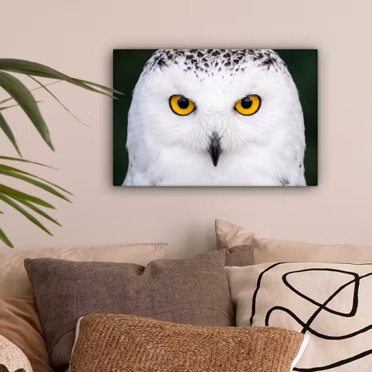 Sneeuwuil - Portret - Geel canvas 2cm klein -sfeer1