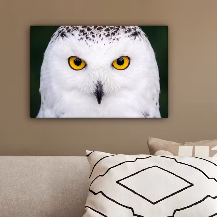 Sneeuwuil - Portret - Geel canvas 2cm klein -sfeer3