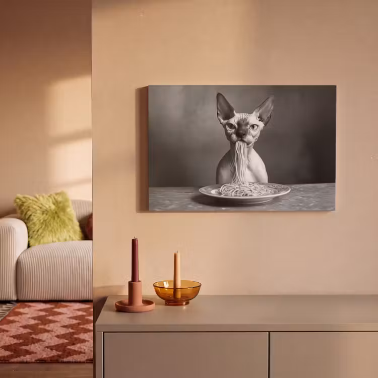 Sphynx - Kat - Dieren - Humor - Spaghetti - Zwart Wit canvas 2cm klein -sfeer1