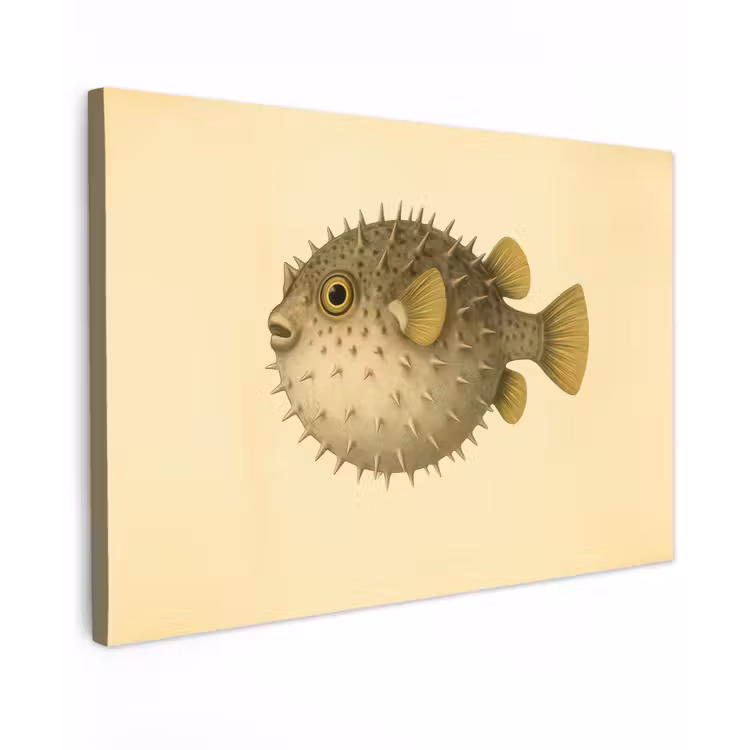 Stekels - Vis - Opgeblazen - Bruin canvas 2cm klein -z3d