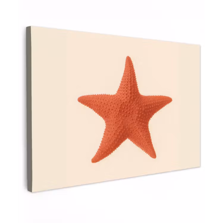 Zeester - Bobbels - Rood canvas 2cm klein -z3d