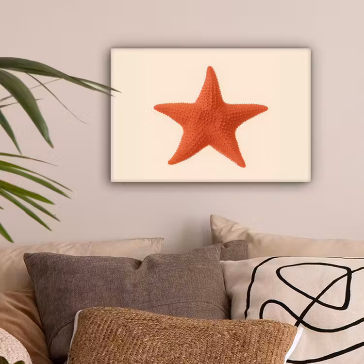 Zeester - Bobbels - Rood canvas 2cm klein -sfeer1
