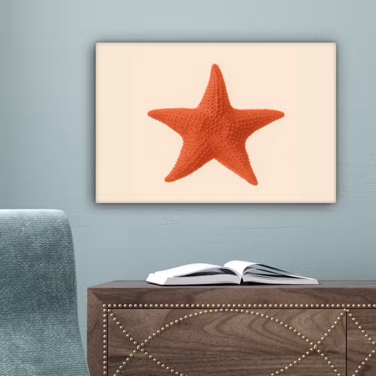 Zeester - Bobbels - Rood canvas 2cm klein -sfeer4