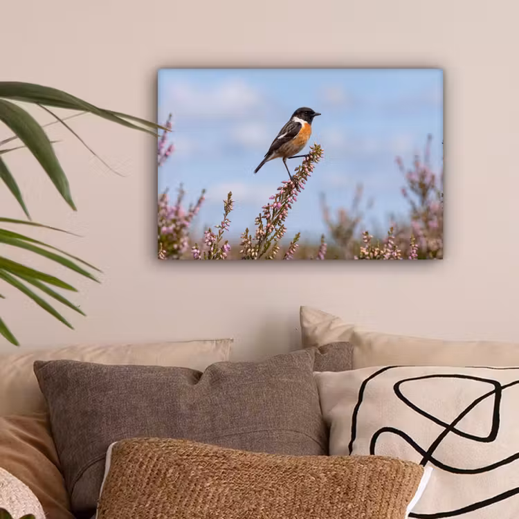 Roodborsttapuit - Heide - Paars - Natuur - Sfeervol canvas 2cm klein -sfeer1