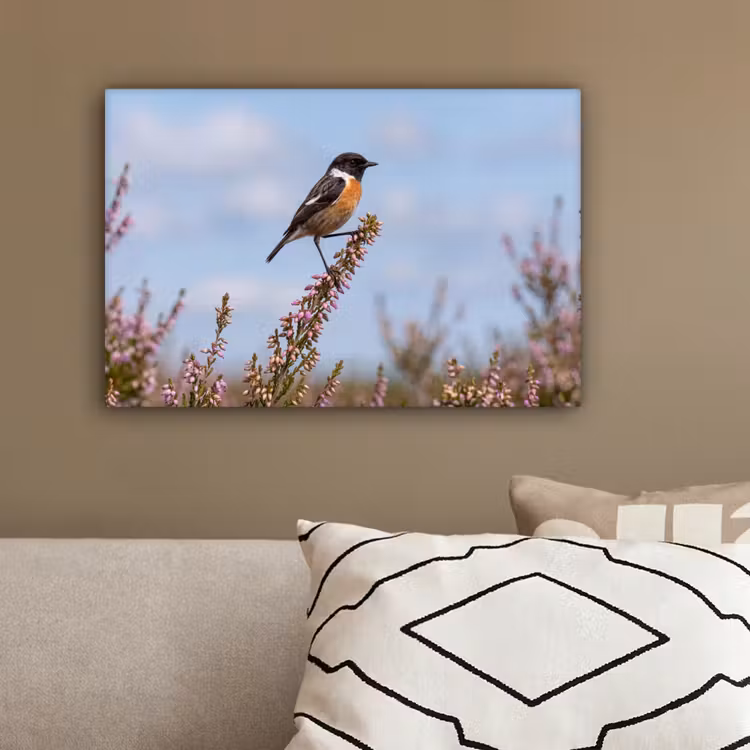 Roodborsttapuit - Heide - Paars - Natuur - Sfeervol canvas 2cm klein -sfeer3
