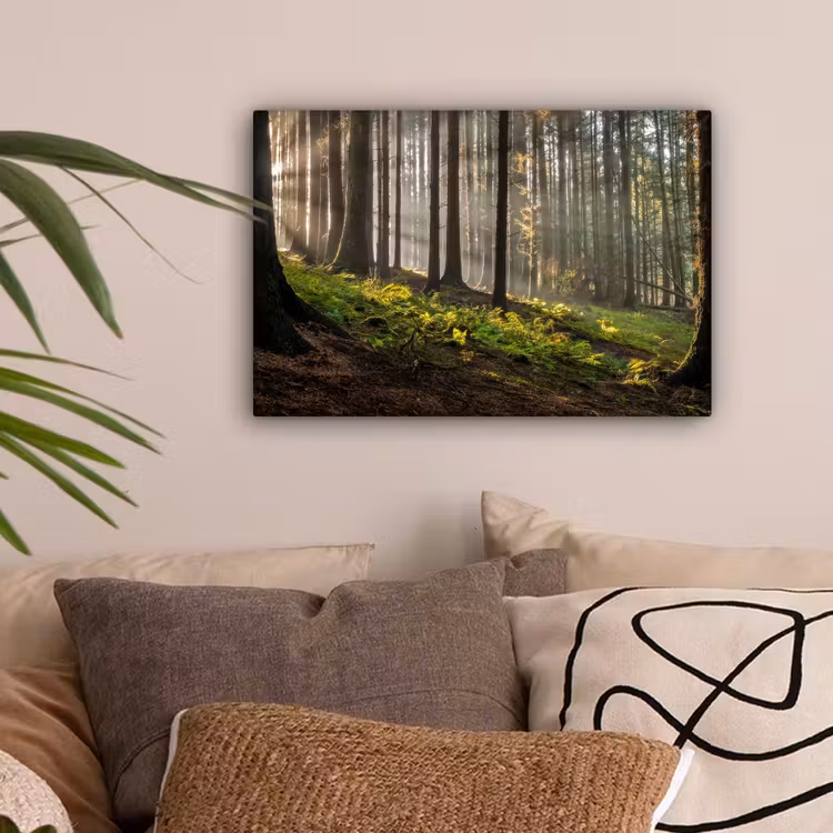 Zon - Takken - Bomen - Bos - Natuur canvas 2cm klein -sfeer1