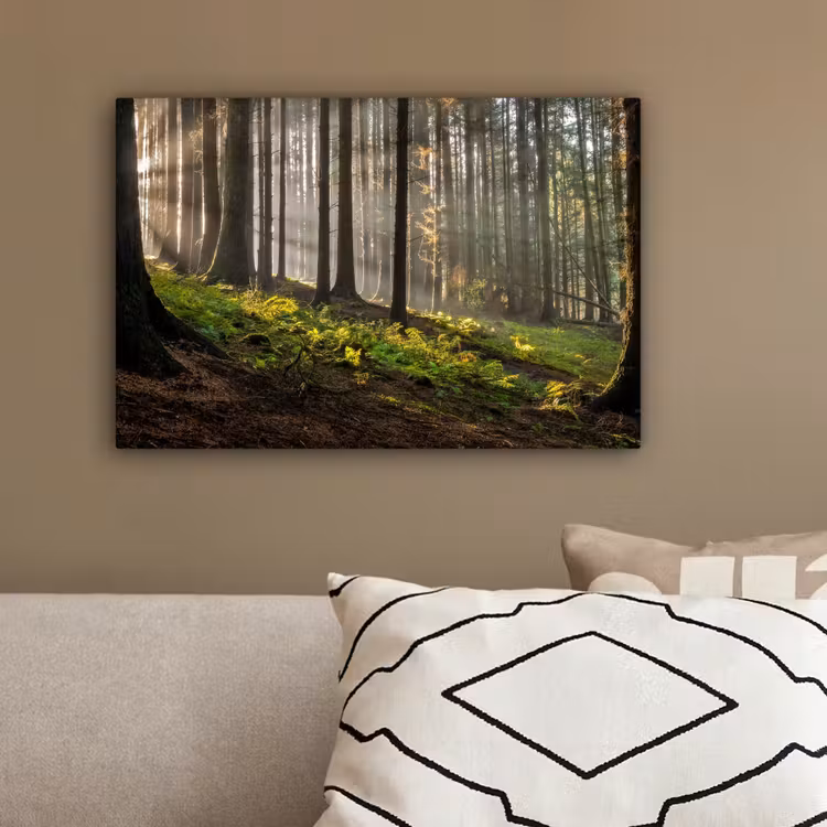 Zon - Takken - Bomen - Bos - Natuur canvas 2cm klein -sfeer3
