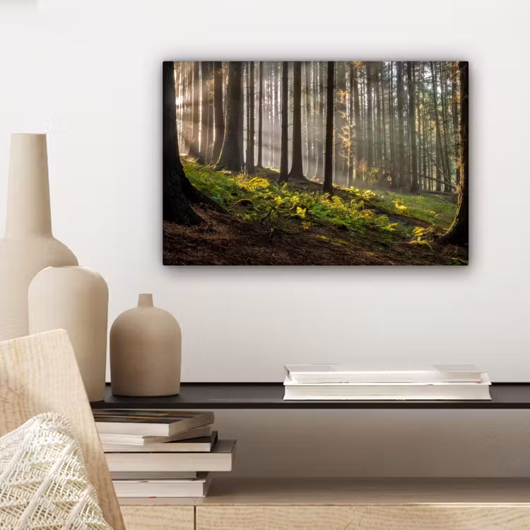 Zon - Takken - Bomen - Bos - Natuur canvas 2cm klein -sfeer6
