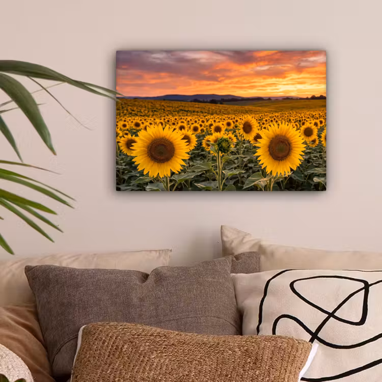 Zonnebloemen - Heuvellandschap - Geel canvas 2cm klein -sfeer1