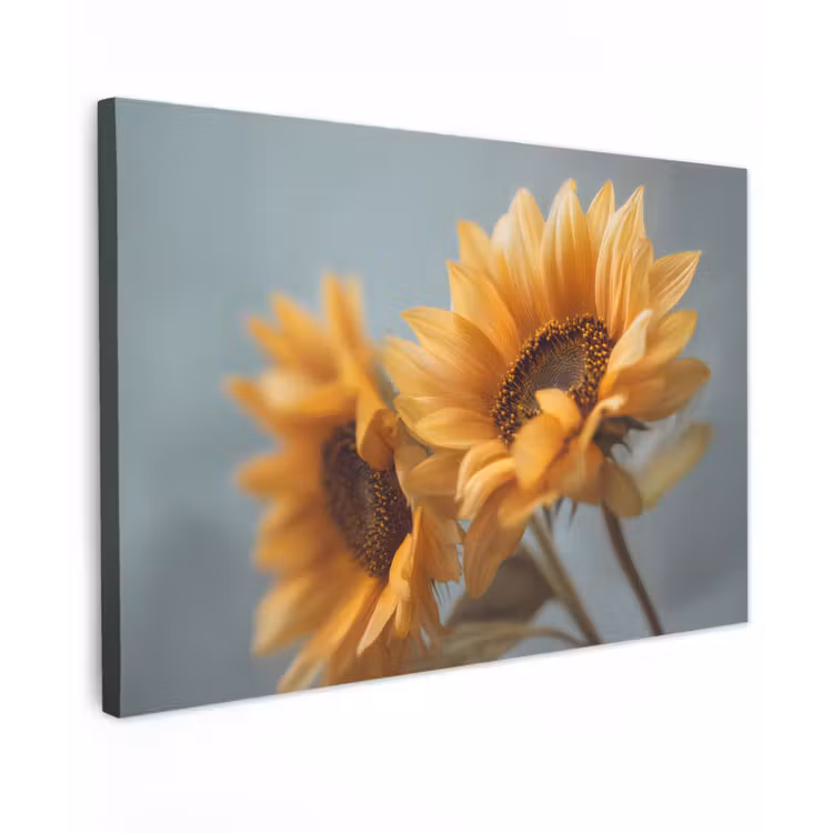 Zonnebloemen - Geel - Wazig canvas 2cm klein -z3d