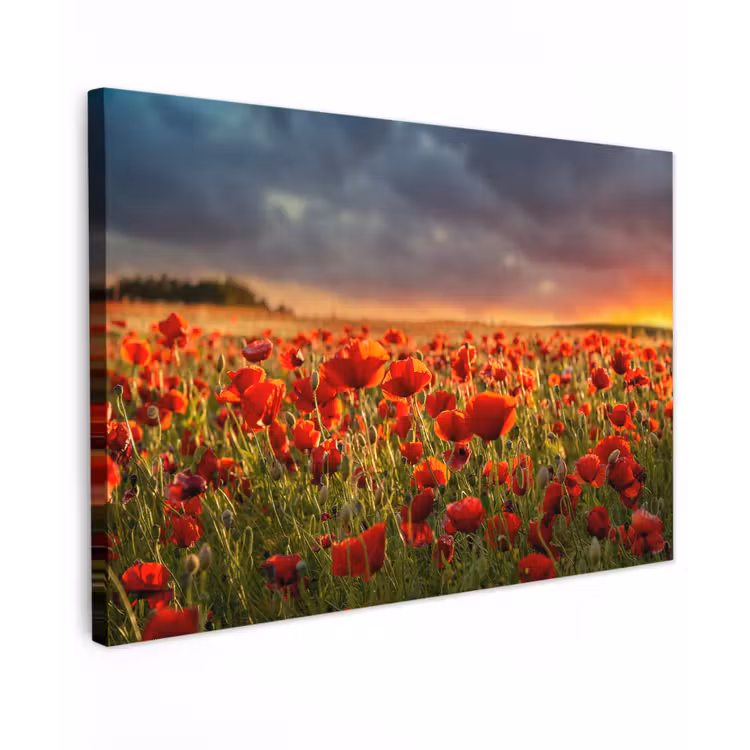 Zonsondergang - Klaprozen - Rood - Bloemen - Veld - Natuur canvas 2cm klein -z3d