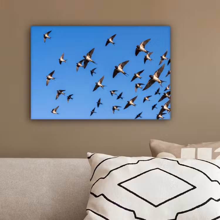 Zwaluwen - Vliegen - Blauw canvas 2cm klein -sfeer3