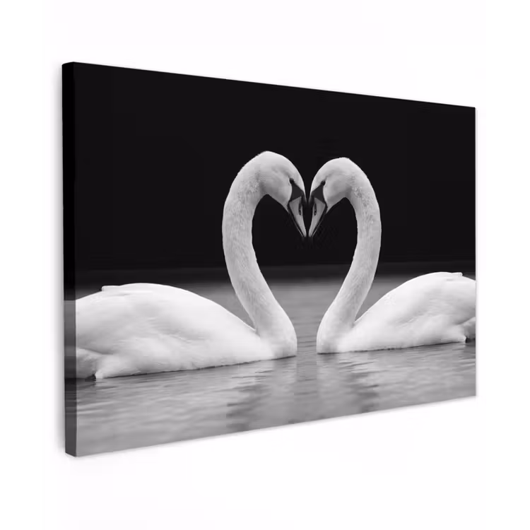 Zwanen - Hart - Zwart - Wit canvas 2cm klein -z3d