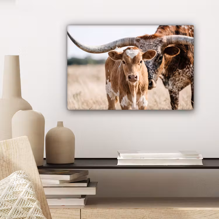 Texas Longhorn - Kalf - Weide - Dieren canvas 2cm klein -sfeer6