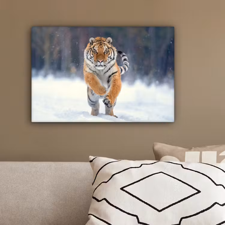 Tijger - Landschap - Sneeuw - Winter - Dieren canvas 2cm klein -sfeer3