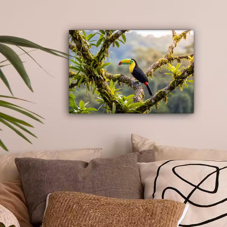 Toekan - Jungle - Natuur - Kleurrijk canvas 2cm klein -sfeer1