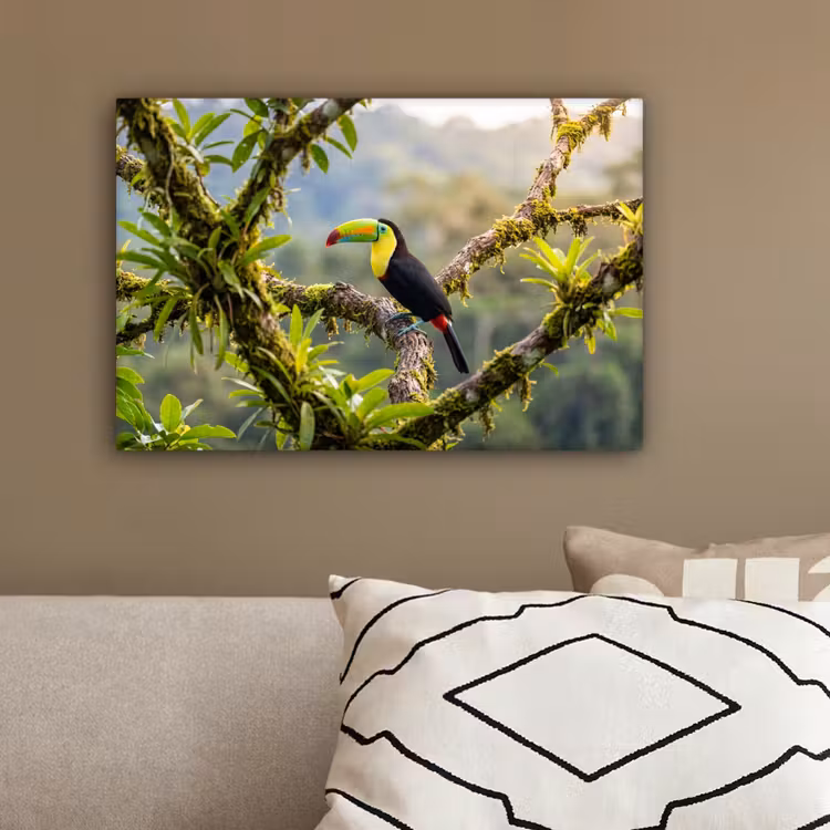 Toekan - Jungle - Natuur - Kleurrijk canvas 2cm klein -sfeer3