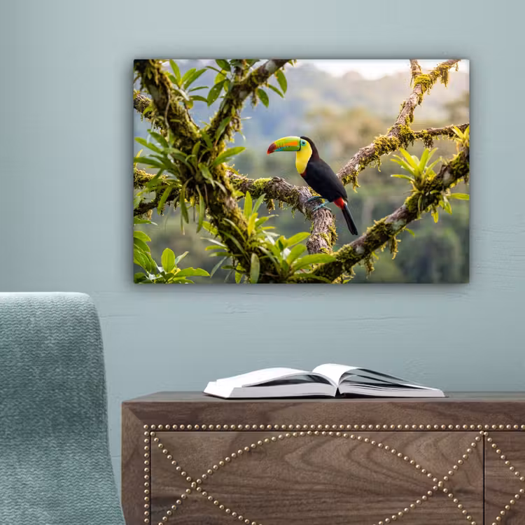 Toekan - Jungle - Natuur - Kleurrijk canvas 2cm klein -sfeer4
