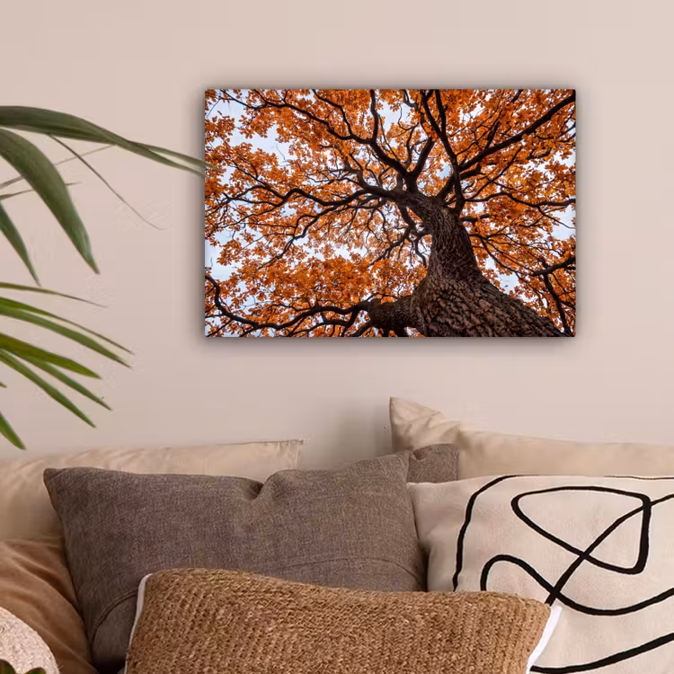 Boom - Bladerdak - Herfst - Oranje - Sfeervol canvas 2cm klein -sfeer1
