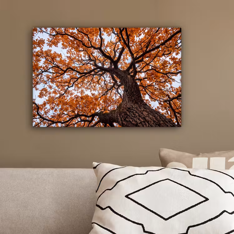 Boom - Bladerdak - Herfst - Oranje - Sfeervol canvas 2cm klein -sfeer3