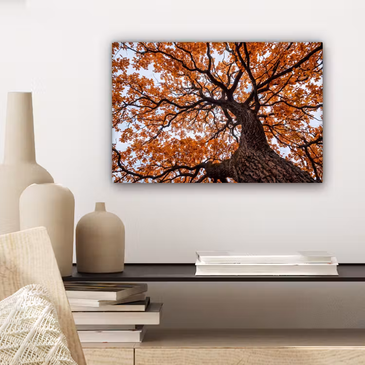 Boom - Bladerdak - Herfst - Oranje - Sfeervol canvas 2cm klein -sfeer6