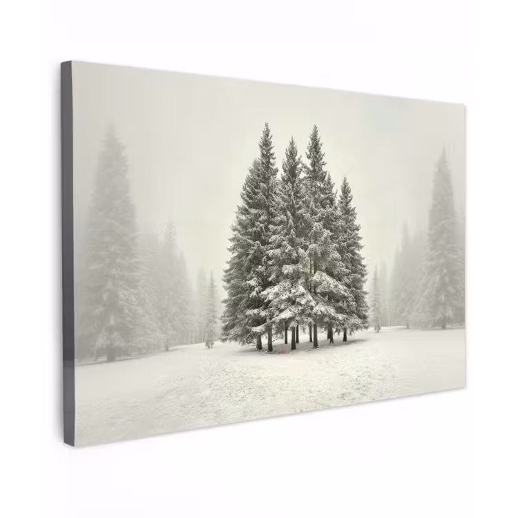 Bomen - Sneeuw - Wit canvas 2cm klein -z3d