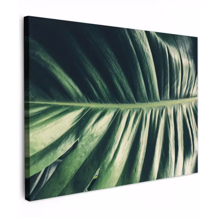 Tropisch - Inductie mat - Natuur - Inductie beschermer - Jungle canvas 2cm klein -z3d