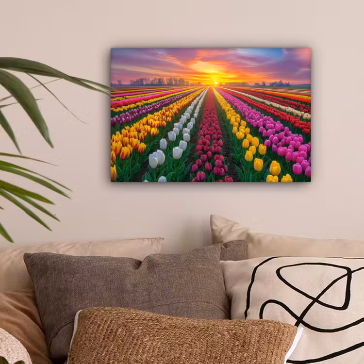 Tulpenveld - Zonsondergang - Kleurrijk canvas 2cm klein -sfeer1