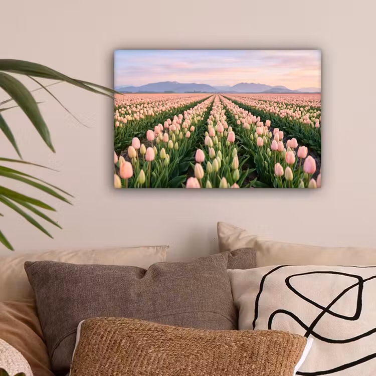 Tulpen - Landschap - Roze canvas 2cm klein -sfeer1