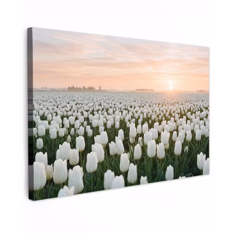 Tulpen - Landschap - Wit canvas 2cm klein -z3d