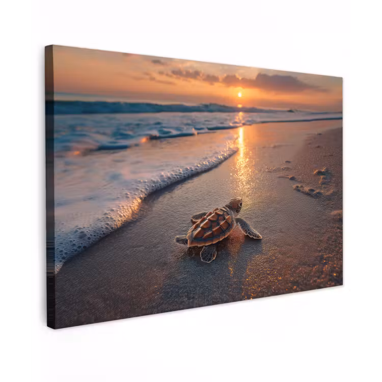 Schildpad - strand - Zonsondergang canvas 2cm klein -z3d