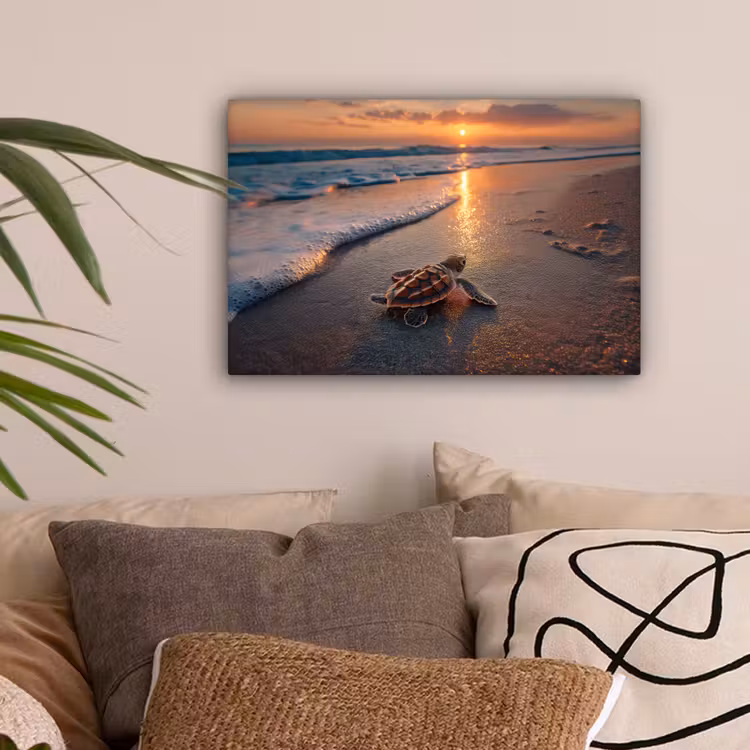Schildpad - strand - Zonsondergang canvas 2cm klein -sfeer1