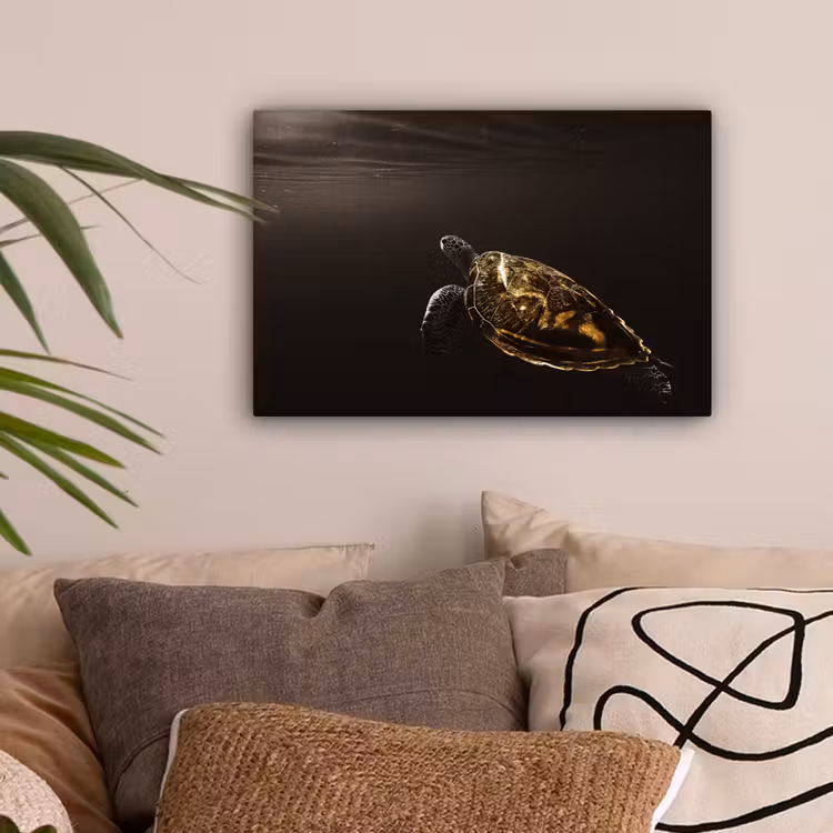Schildpad - Zwart - Goud canvas 2cm klein -sfeer1