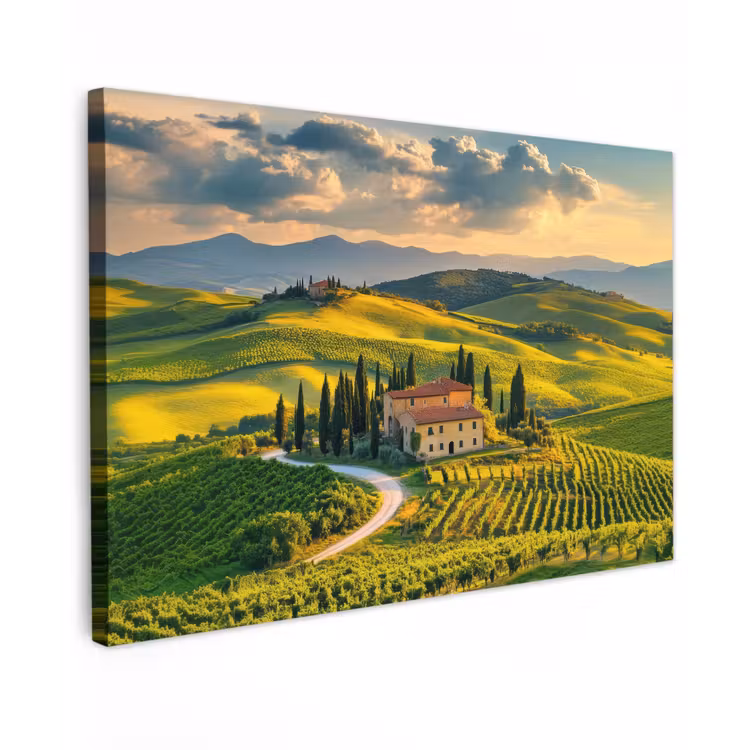 Toscane - Landschap - Wijngaarden canvas 2cm klein -z3d